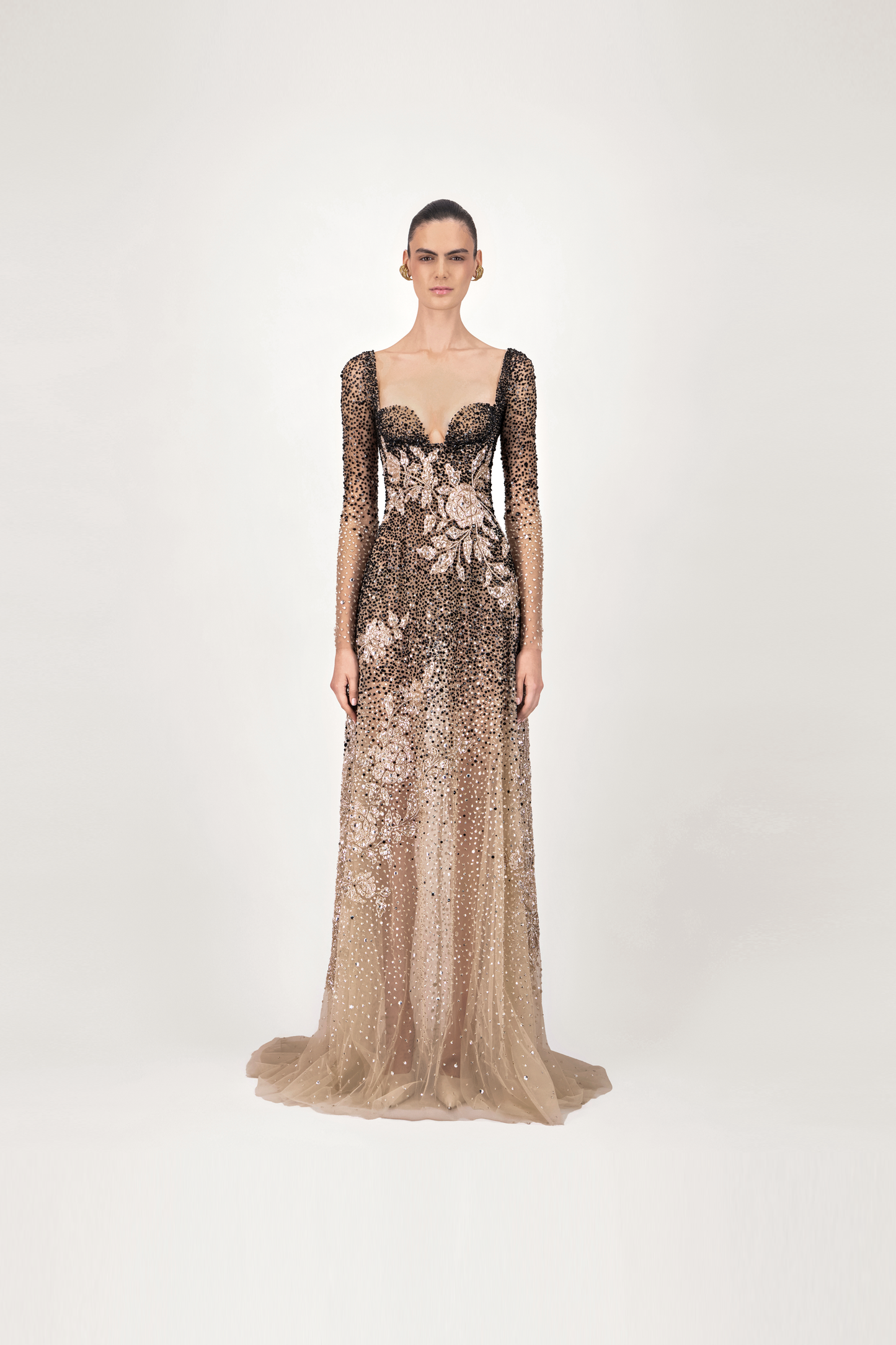 Sheer Long Sleeve Long Dress