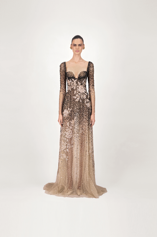 Sheer Long Sleeve Long Dress