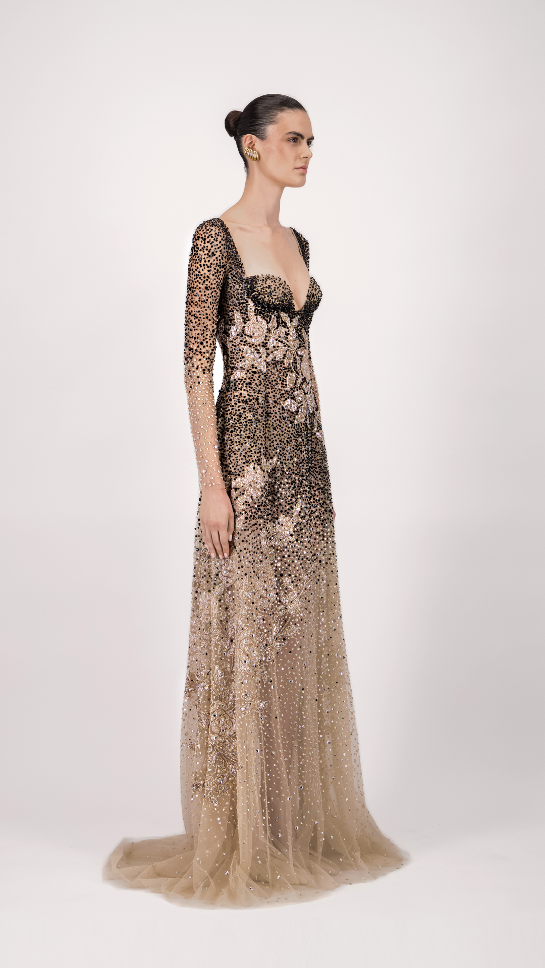 Sheer Long Sleeve Long Dress